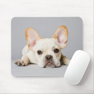 Cutest Baby Animals   French Bulldog Lying Down Mouse Mat