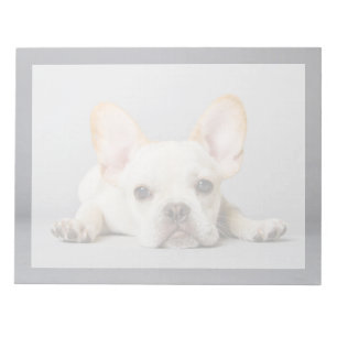 Cutest Baby Animals French Bulldog Lying Down Notepad