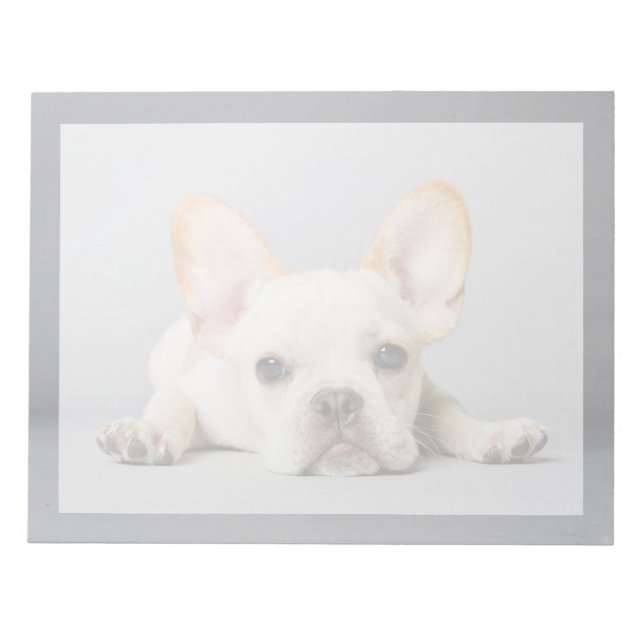 Cutest Baby Animals | French Bulldog Lying Down Notepad (Front)