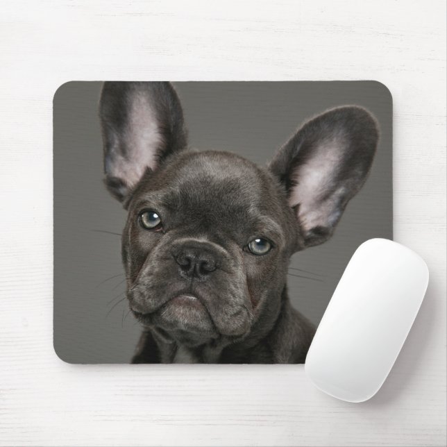 Cutest Baby Animals | French Bulldog Mouse Mat (With Mouse)