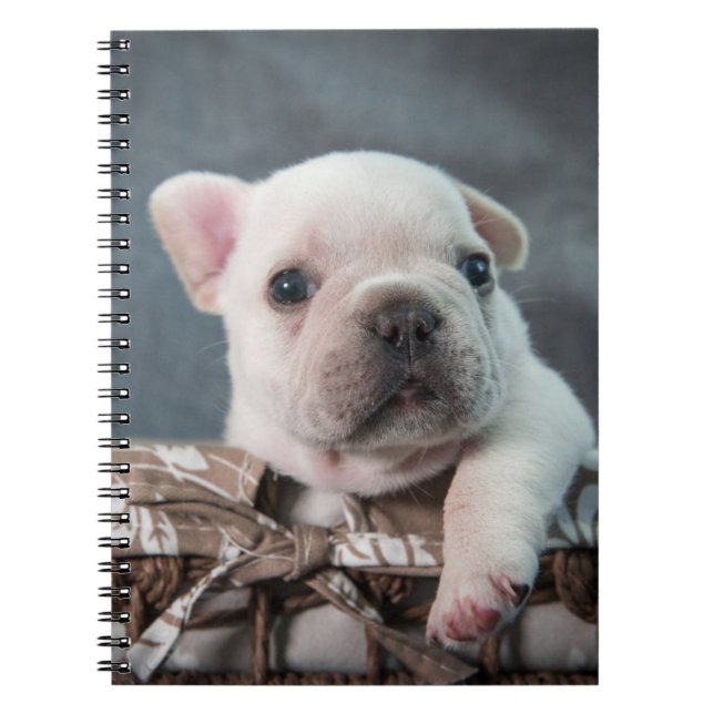 Cutest Baby Animals | French Bulldog Notebook (Front)