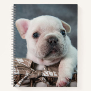 Cutest Baby Animals French Bulldog Notebook