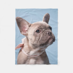 Cutest Baby Animals French Bulldog Pink Bow Fleece Blanket