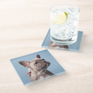 Cutest Baby Animals French Bulldog Pink Bow Glass Coaster