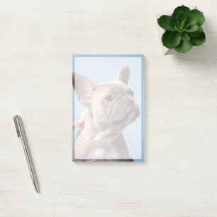 Cutest Baby Animals French Bulldog Pink Bow Post-it Notes