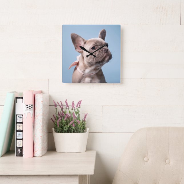 Cutest Baby Animals | French Bulldog Pink Bow Square Wall Clock (Reading Room)