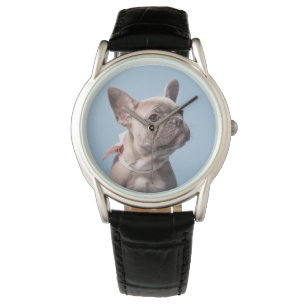 Cutest Baby Animals   French Bulldog Pink Bow Watch