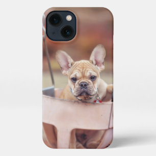 Cutest Baby Animals   French Bulldog Playground iPhone 13 Case
