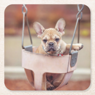 Cutest Baby Animals French Bulldog Playground Square Paper Coaster
