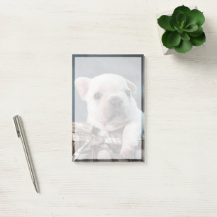 Cutest Baby Animals French Bulldog Post-it Notes