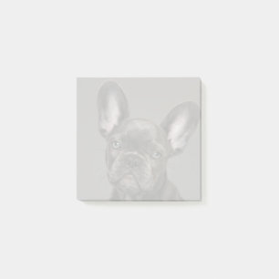 Cutest Baby Animals French Bulldog Post-it Notes