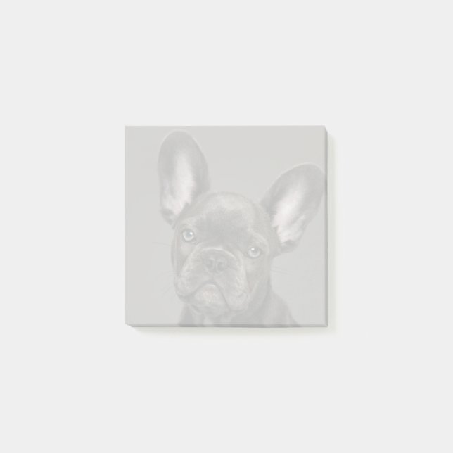 Cutest Baby Animals | French Bulldog Post-it Notes (Front)