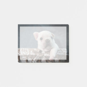 Cutest Baby Animals French Bulldog Post-it Notes