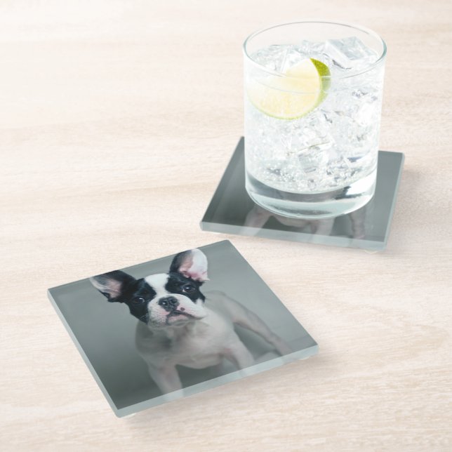Cutest Baby Animals | French Bulldog Puppy Glass Coaster (Angled)