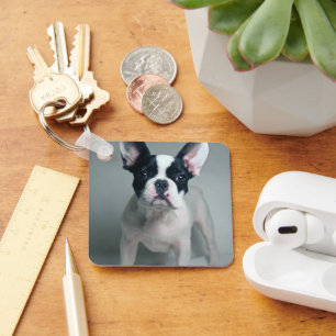 Cutest Baby Animals French Bulldog Puppy Key Ring