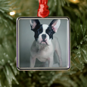 Cutest Baby Animals French Bulldog Puppy Metal Tree Decoration