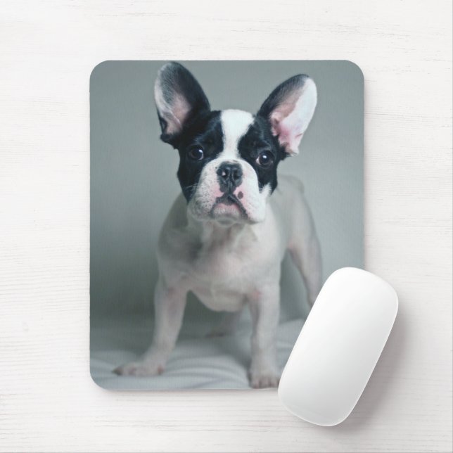 Cutest Baby Animals | French Bulldog Puppy Mouse Mat (With Mouse)