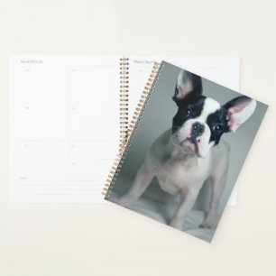 Cutest Baby Animals   French Bulldog Puppy Planner