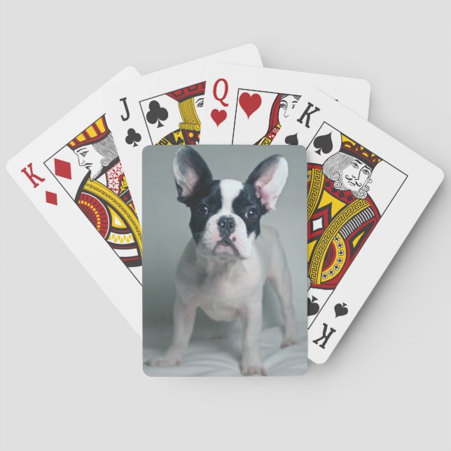 Cutest Baby Animals | French Bulldog Puppy Playing Cards (Back)