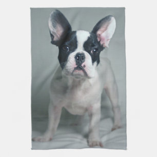 Cutest Baby Animals   French Bulldog Puppy Tea Towel