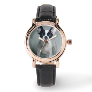 Cutest Baby Animals   French Bulldog Puppy Watch