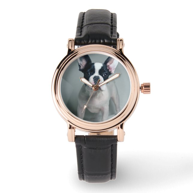 Cutest Baby Animals | French Bulldog Puppy Watch (Front)