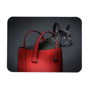 Cutest Baby Animals   French Bulldog Red Hand Bag Magnet