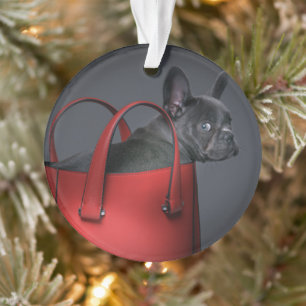 Cutest Baby Animals   French Bulldog Red Hand Bag Ornament