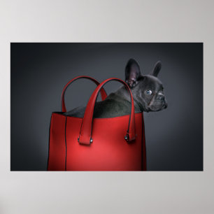 Cutest Baby Animals   French Bulldog Red Hand Bag Poster