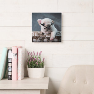 Cutest Baby Animals   French Bulldog Square Wall Clock