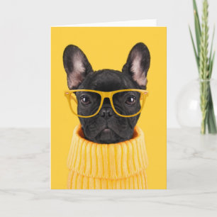 Cutest Baby Animals   French Bulldog Sunglasses Card