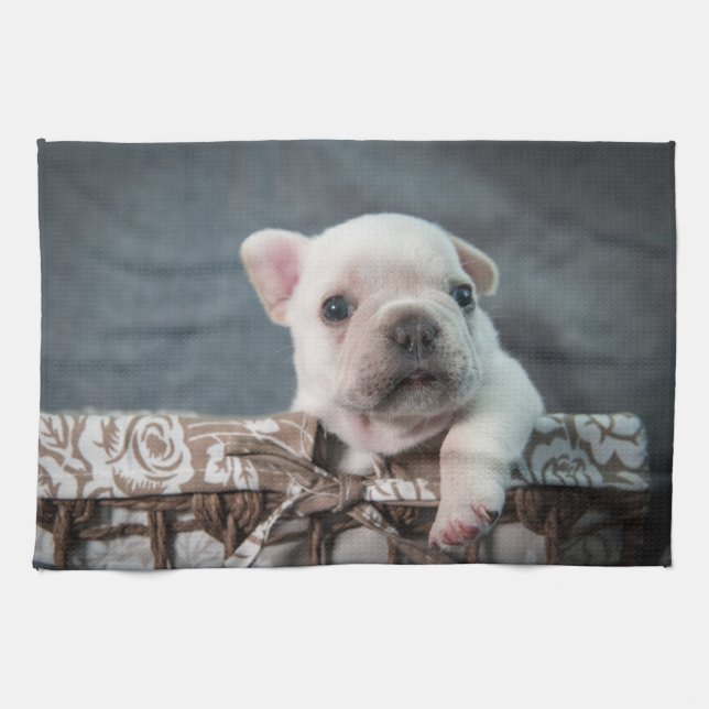 Cutest Baby Animals | French Bulldog Tea Towel (Horizontal)
