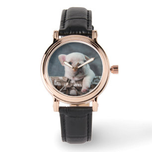 Cutest Baby Animals   French Bulldog Watch