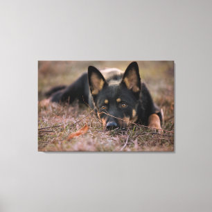 Cutest Baby Animals   German Shepherd Puppy Canvas Print