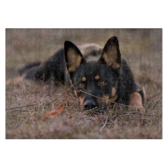 Cutest Baby Animals | German Shepherd Puppy Cutting Board (Front)