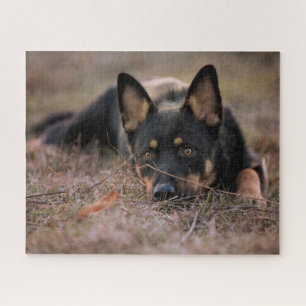 Cutest Baby Animals German Shepherd Puppy Jigsaw Puzzle
