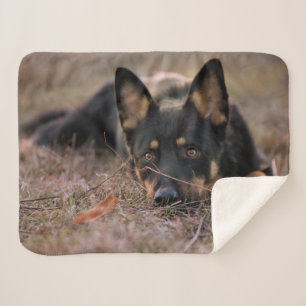 Cutest Baby Animals German Shepherd Puppy Sherpa Blanket