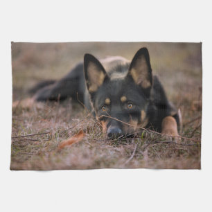 Cutest Baby Animals   German Shepherd Puppy Tea Towel