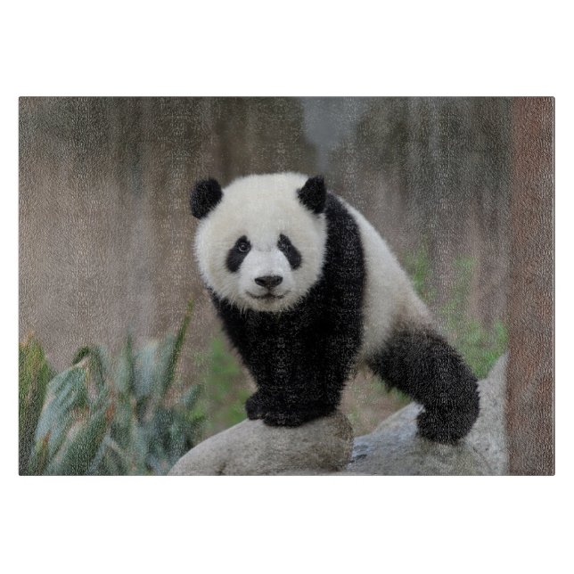 Cutest Baby Animals | Giant Panda Baby Cutting Board (Front)
