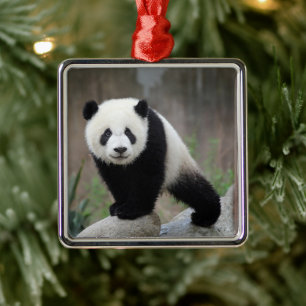 Cutest Baby Animals Giant Panda Baby Metal Tree Decoration