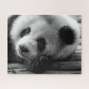 Cutest Baby Animals   Giant Panda Bear Cub Jigsaw Puzzle