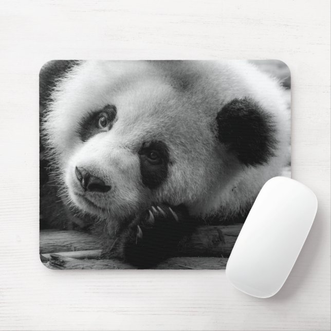 Cutest Baby Animals | Giant Panda Bear Cub Mouse Mat (With Mouse)