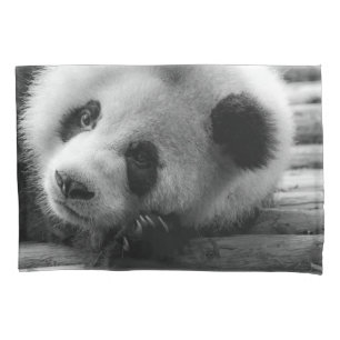 Cutest Baby Animals   Giant Panda Bear Cub Pillowcase