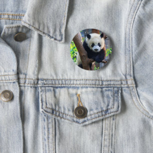 Cutest Baby Animals Giant Panda Cub 6 Cm Round Badge