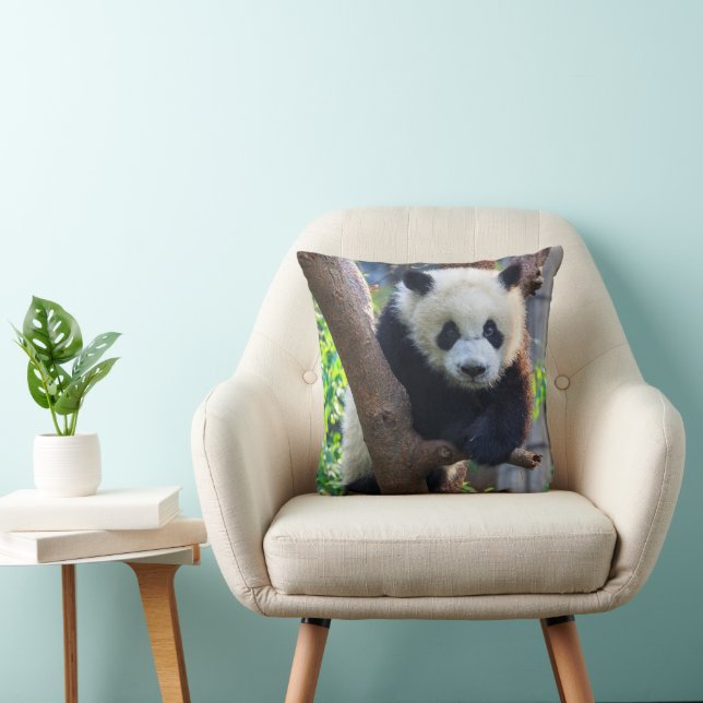 Cutest Baby Animals | Giant Panda Cub Cushion (Chair)