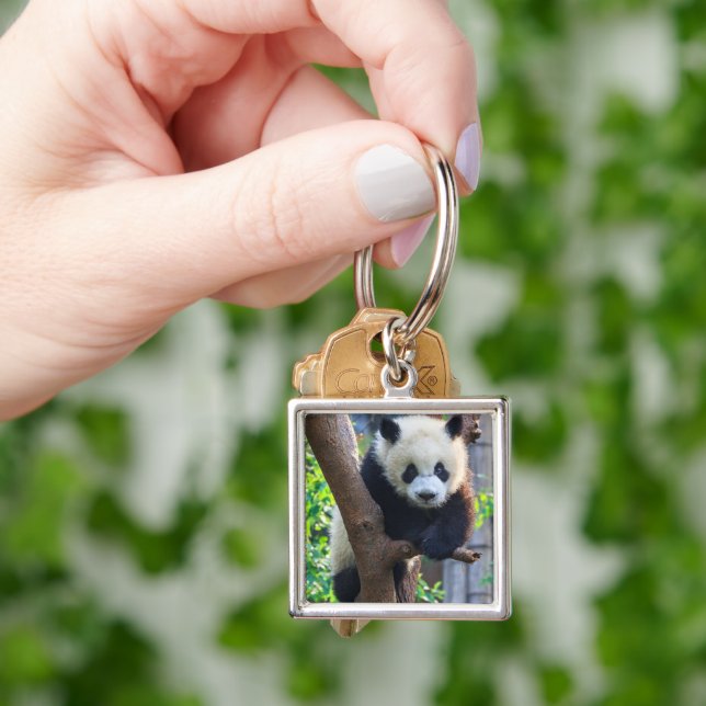 Cutest Baby Animals | Giant Panda Cub Key Ring (Hand)