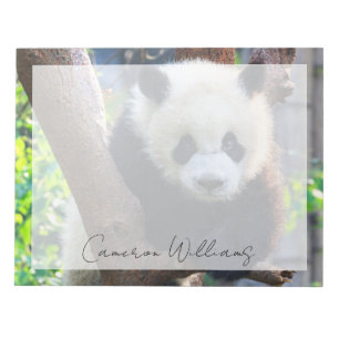 Cutest Baby Animals Giant Panda Cub Notepad