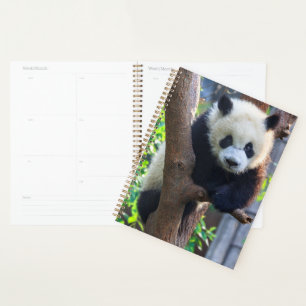 Cutest Baby Animals Giant Panda Cub Planner