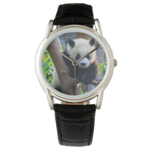 Cutest Baby Animals Giant Panda Cub Watch