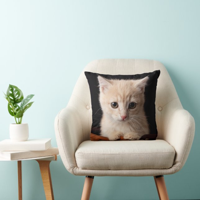 Cutest Baby Animals | Ginger Kitten Cushion (Chair)